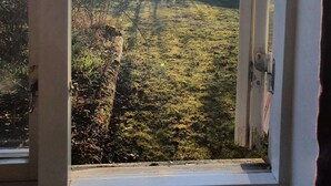 A view through a window with sunlight streaming in, highlighting a grassy area and bare trees.