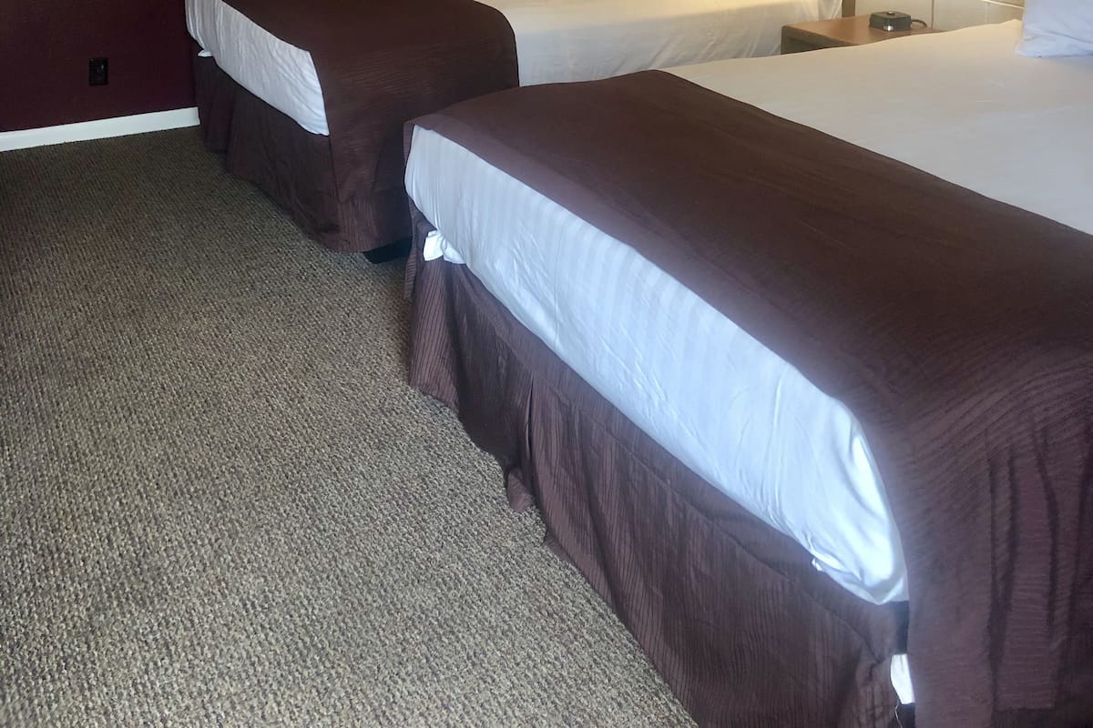 Quarto de hotel com duas camas, cabeceira com luminária e piso coberto por carpete.