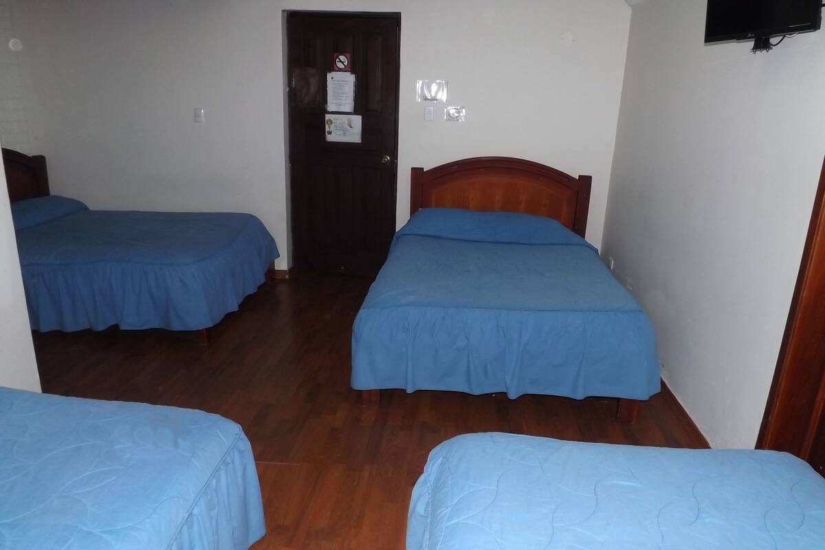 Family Room | Desk, iron/ironing board, free WiFi