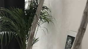 A minimalist room with a light wooden bench, a large potted plant, and a framed picture on the wall. - Radio Tulum Hotel (Tulum)