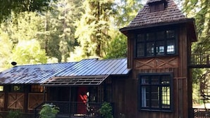 A rustic cabin with a metal roof, wooden walls, and a small porch.