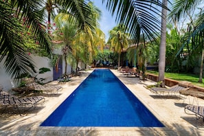 A long, narrow swimming pool with lounge chairs on both sides, surrounded by palm trees and greenery.