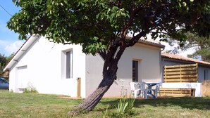 Une maison blanche avec un arbre devant, une terrasse avec des chaises et une clôture en bois.