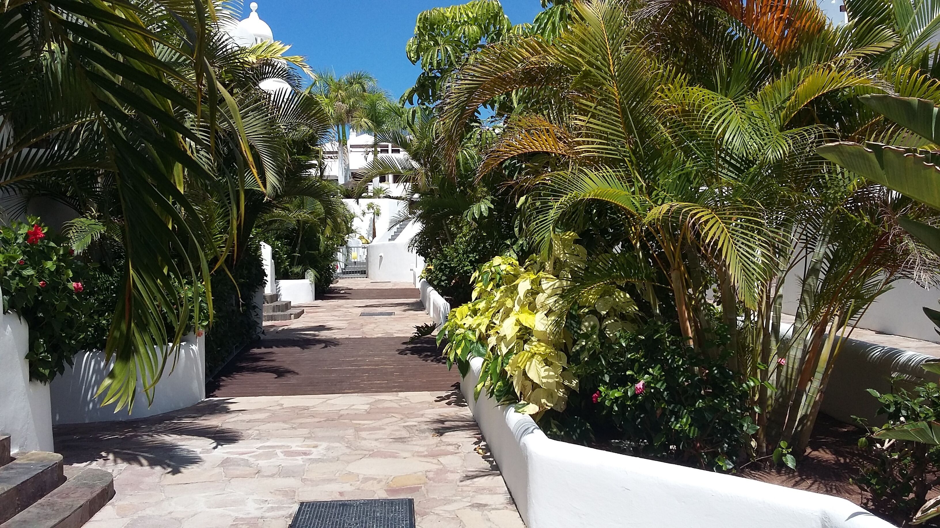 Terrein van de accommodatie