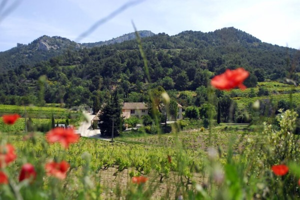 De très belles rando partent dans les Dentelles depuis le Clos de Caveau.