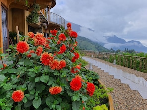 Jardín