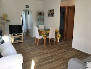 TV connectée, cheminée, lecteur de DVD, livres