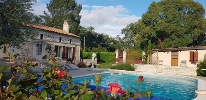 PAÍS CASA 2 orejas "TI LIBELLULE"