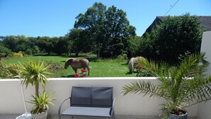 A balcony with a table and chairs, surrounded by potted plants, overlooking a grassy area with horses grazing. - Cottage on the Crozon peninsula (Lanvéoc)