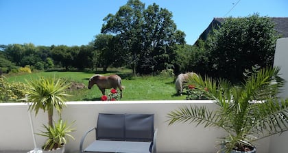 Cottage on the Crozon peninsula