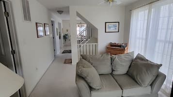 TV connectée, cheminée, jeux vidéo, lecteur de DVD