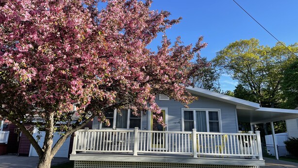 Ein Haus mit Veranda und Baum mit rosa Blüten.