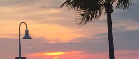 A sunset over the ocean with a palm tree and a street lamp.