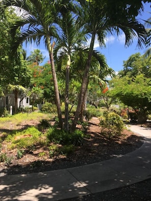 A landscaped garden with palm trees and various shrubs. - Unique Home with loft @ Truman Annex (Key West)
