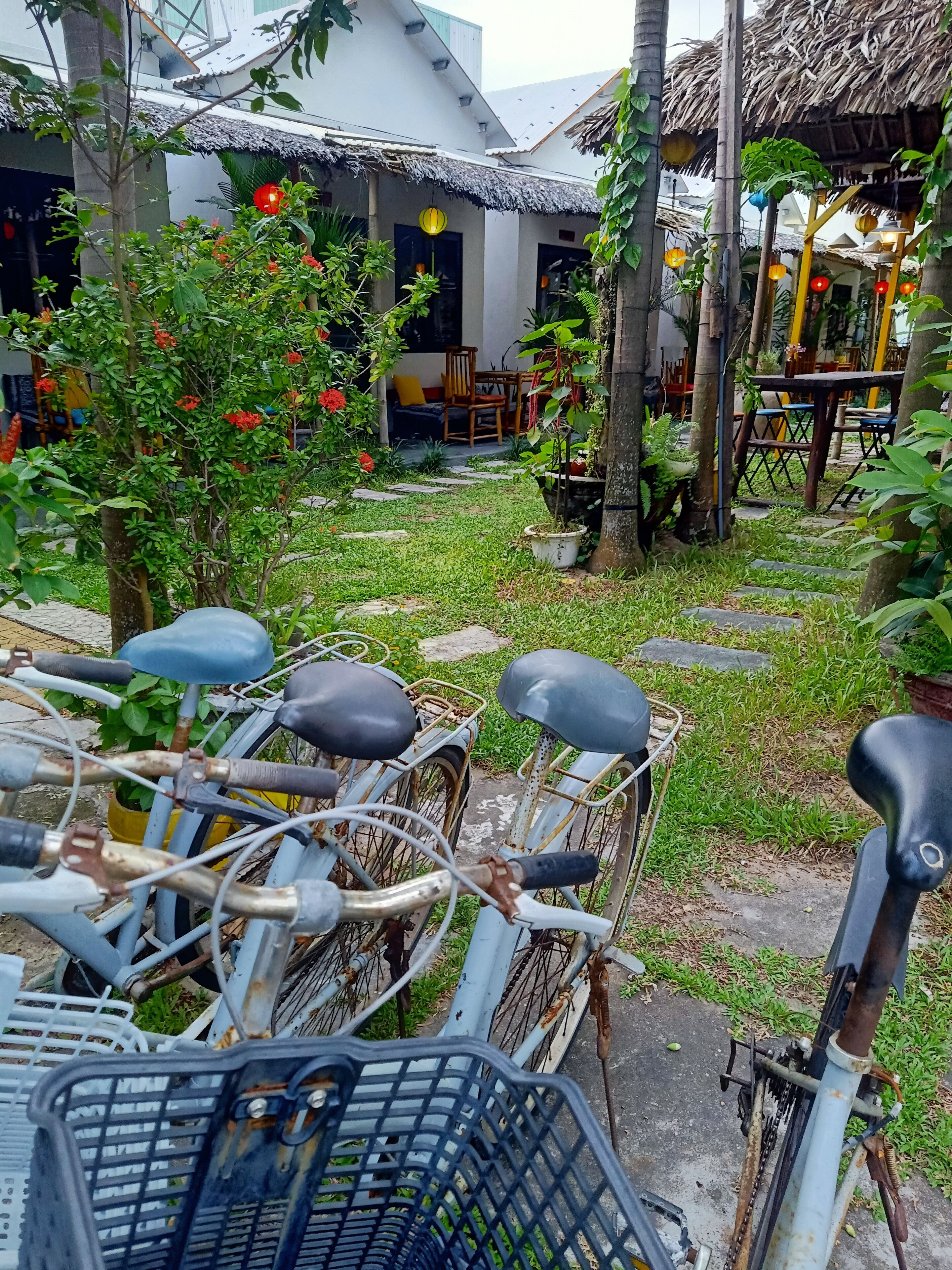 A courtyard with bicycles, a thatched-roof structure, and a dining area with chairs and tables.