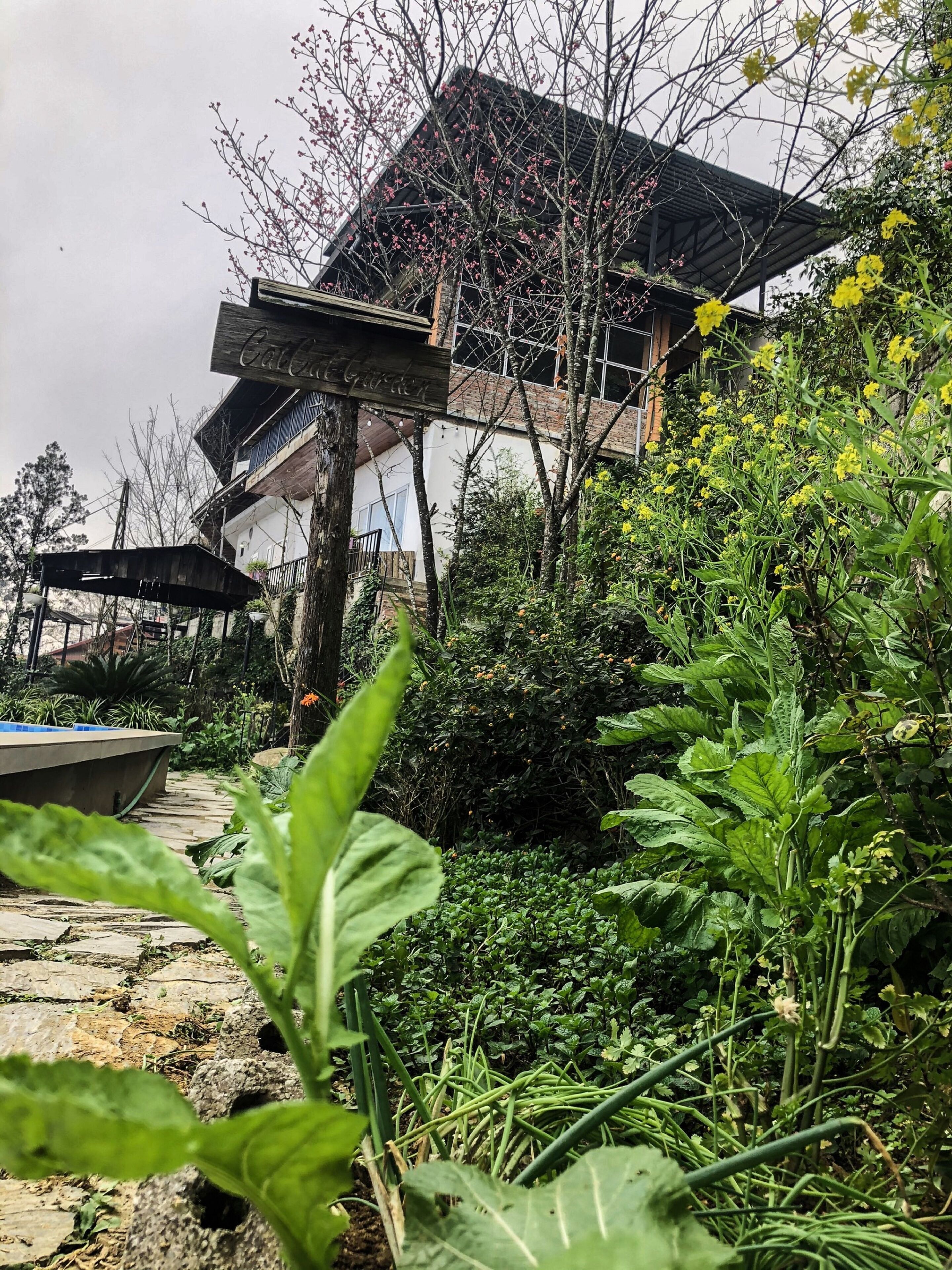 Jardin