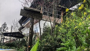 Jardí