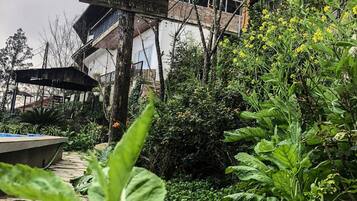Jardin