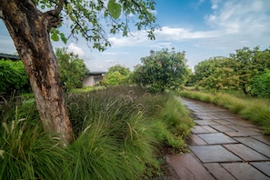 Property grounds - Woods at Sasan (Talala)