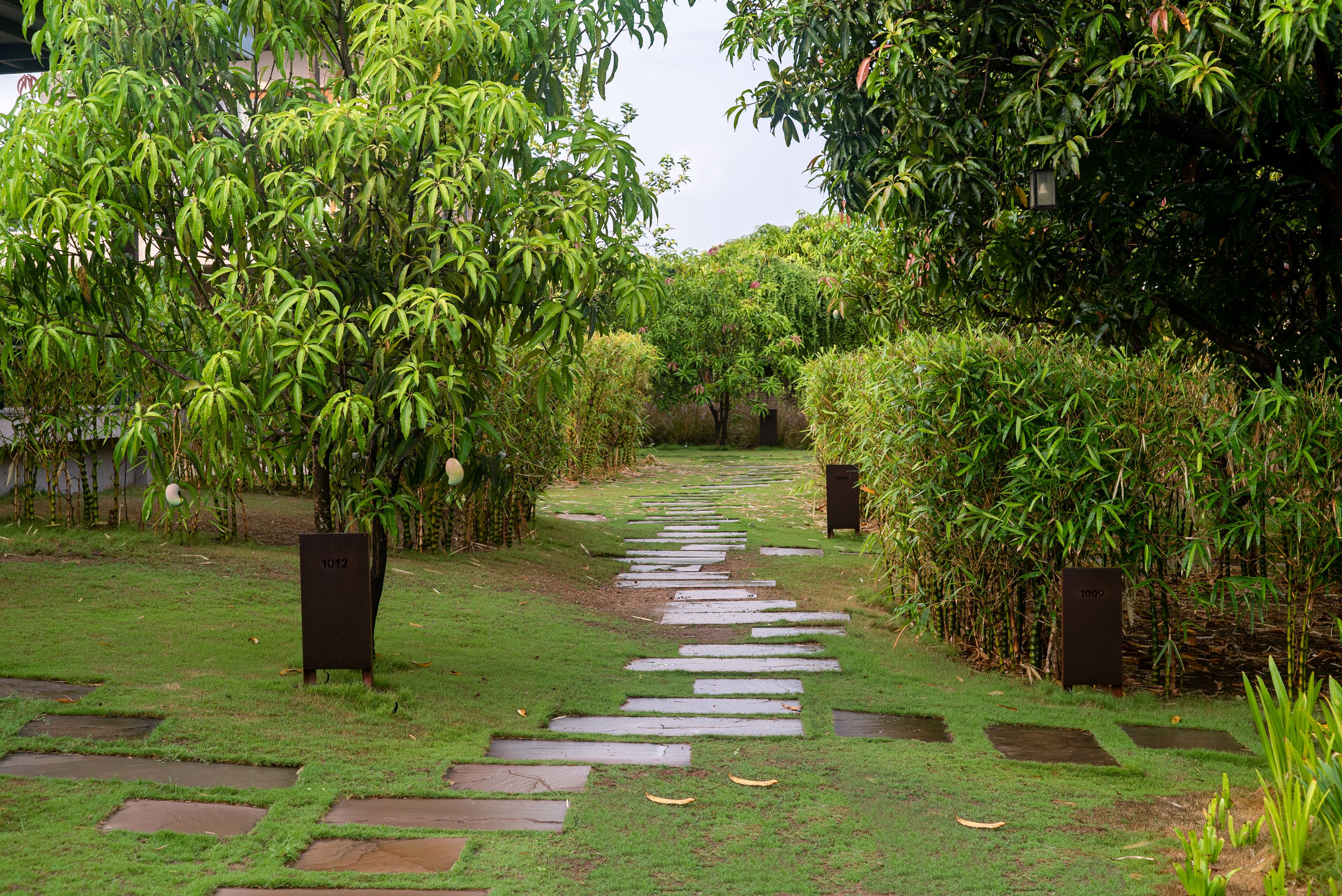 Un sendero de jardín con piedras, rodeado de abundante follaje y árboles.