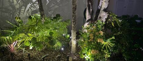 Un giardino con diverse piante e alberi, illuminato da luci soffuse.
