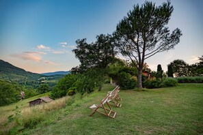 Property grounds - Converted farmhouse apartment, Swimming Pool, free WIFI (Masolino) (Assisi)