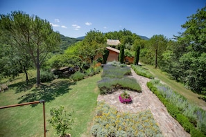 A garden with a pathway leading to a building, surrounded by trees and shrubs.