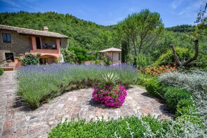 Property grounds - Boutique Rental, Garden Facing Terrace (Lorenzetti) (assisi)