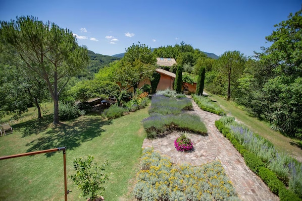 A garden with a pathway leading to a building, surrounded by trees and shrubs.