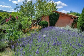 Property grounds - Country Holiday Apartment in Villa, Swimming Pool, Wifi (Assisi)