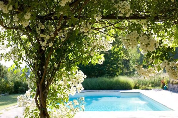 A swimming pool surrounded by lush greenery and white flowering trees.