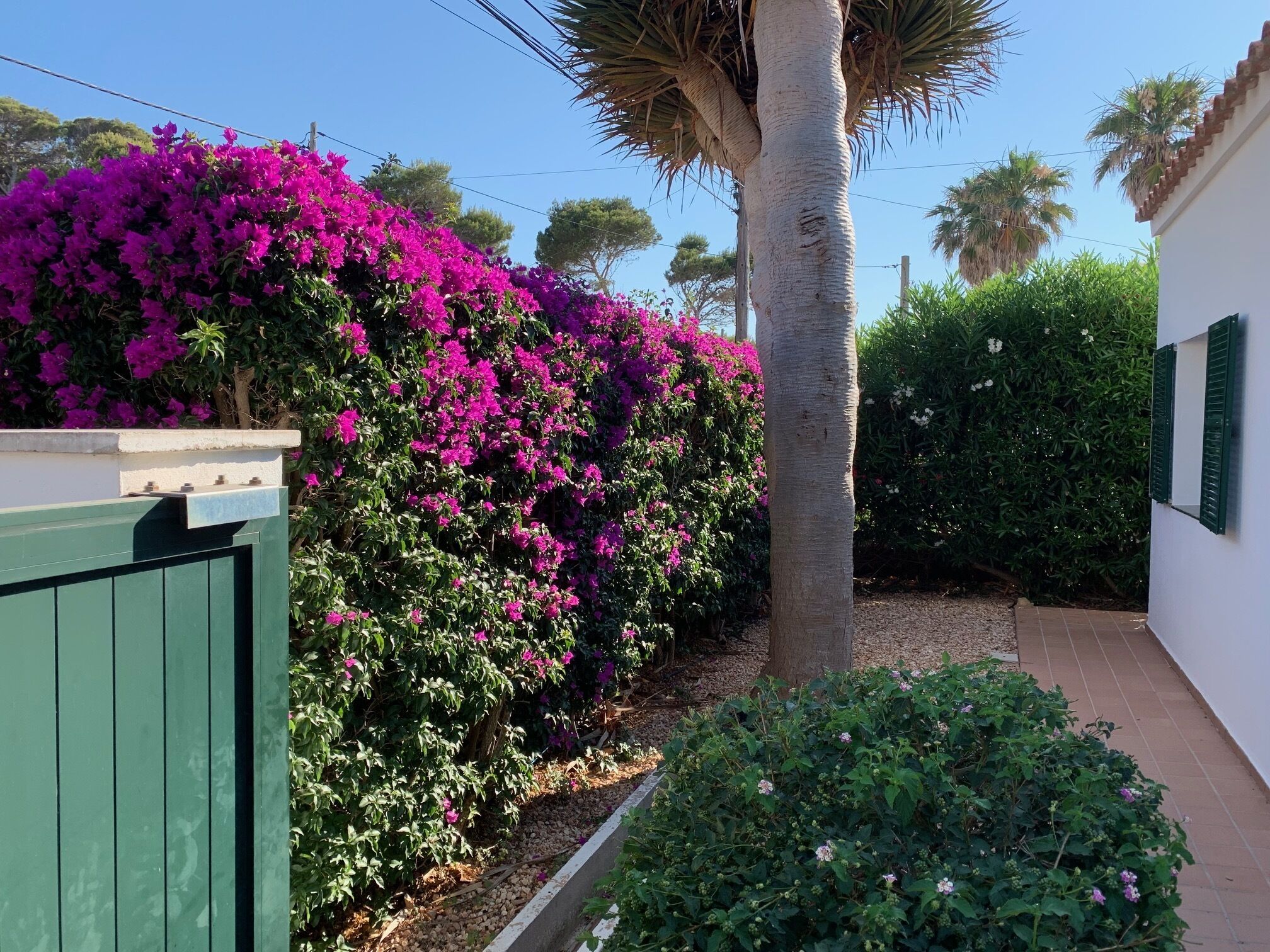 Áreas de la propiedad