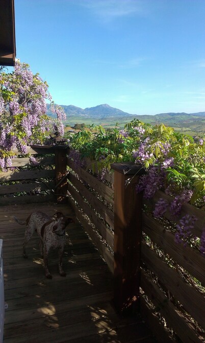 Country Finca with private pool, air con and all amenities.