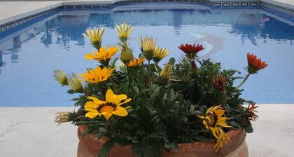 Maa Finca Alpeilla, air con ja kaikki mukavuudet.