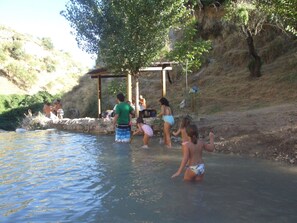 Outdoor pool - Beautiful house Andalusia´s center, 3 BD, 2 BR, Jacuzzi and Pool, waterfalls. (Algarinejo)