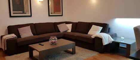 Smart TV, DVD player, books, music library