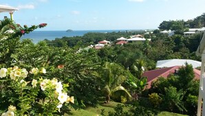 Un jardín exuberante con diversas plantas y flores, vista al mar y varias casas con tejados rojos.
