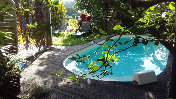 Una piscina rodeada de abundante vegetación, una terraza de madera y una silla.