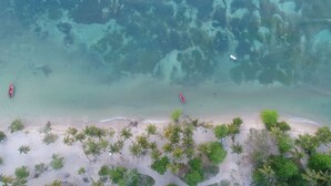 Vista aérea de una playa con agua turquesa cristalina, una orilla arenosa y densa vegetación verde.