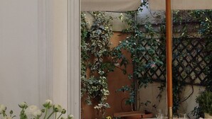 An outdoor dining area with a round table, chairs, and a table umbrella. - terrace viadelloca35  (Roma)