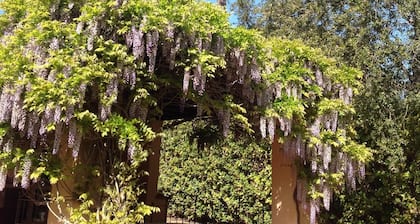 Punta Ala Villetta il Glicine