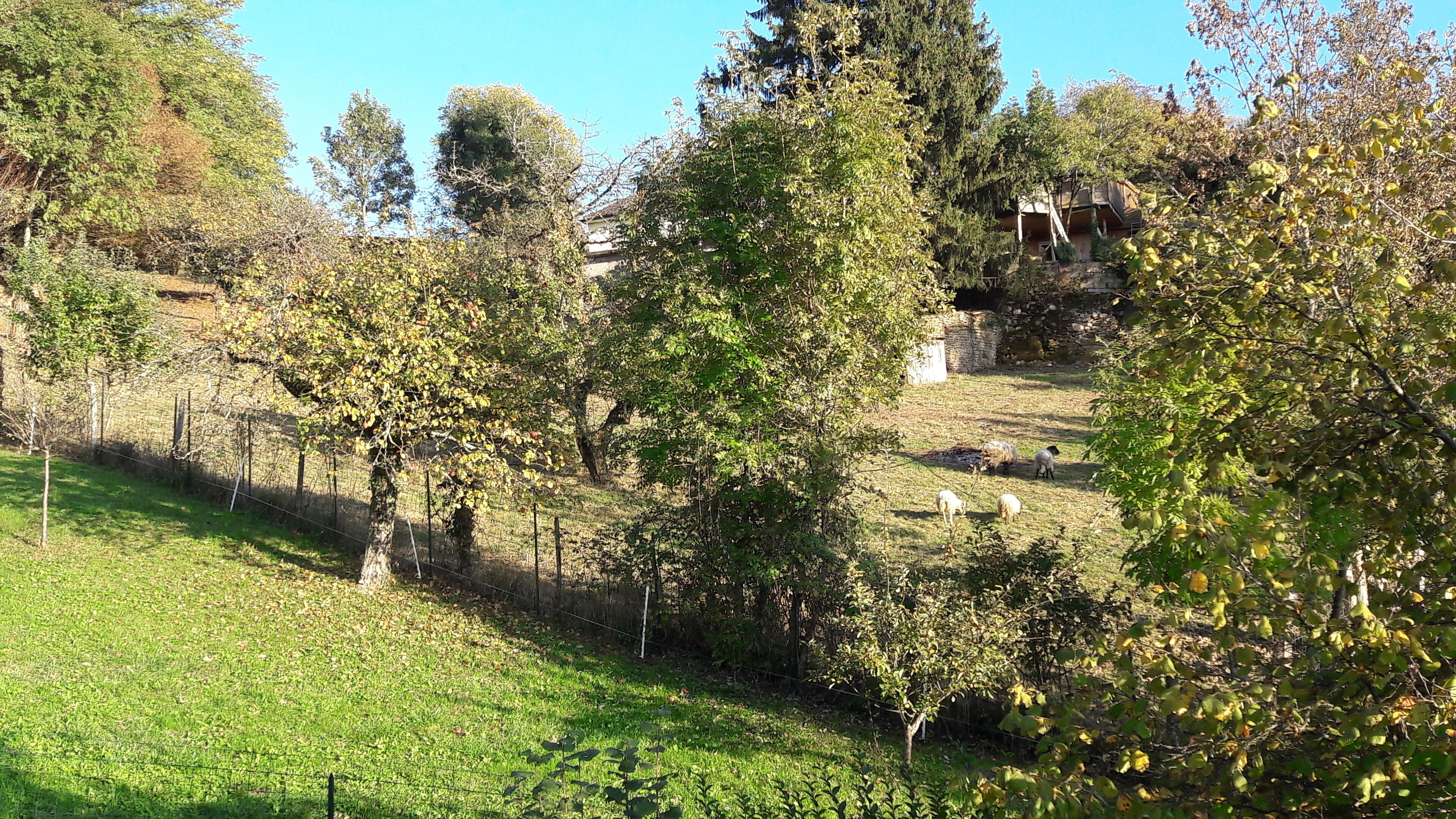 Ländliche Landschaft mit einem eingezäunten Feld, Bäumen und einem Steinhaus im Hintergrund.
