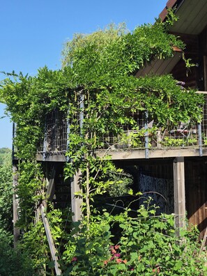 Un edificio de madera con balcón y un jardín con diversas plantas y enredaderas.