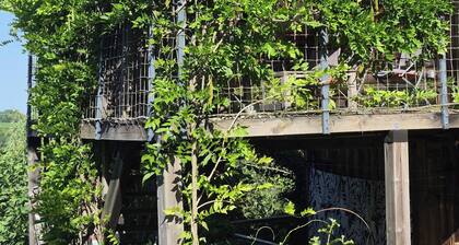 Gite au figuier - studio Duplex 2/4 people