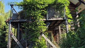 A rustic wooden cabin with a balcony and a staircase. - Gite au figuier - studio Duplex 2/4 people (Arbois)