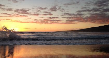 Ti Caze Dodo, bungalow de charme