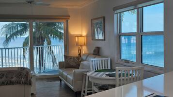 TV, DVD player, books