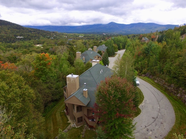 A residential area with houses, a winding driveway, and a mountainous backdrop.