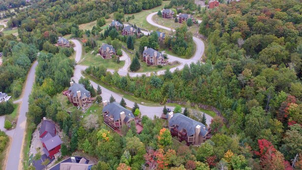 Un quartier résidentiel aux rues sinueuses, où les maisons sont entourées d’une forêt dense.