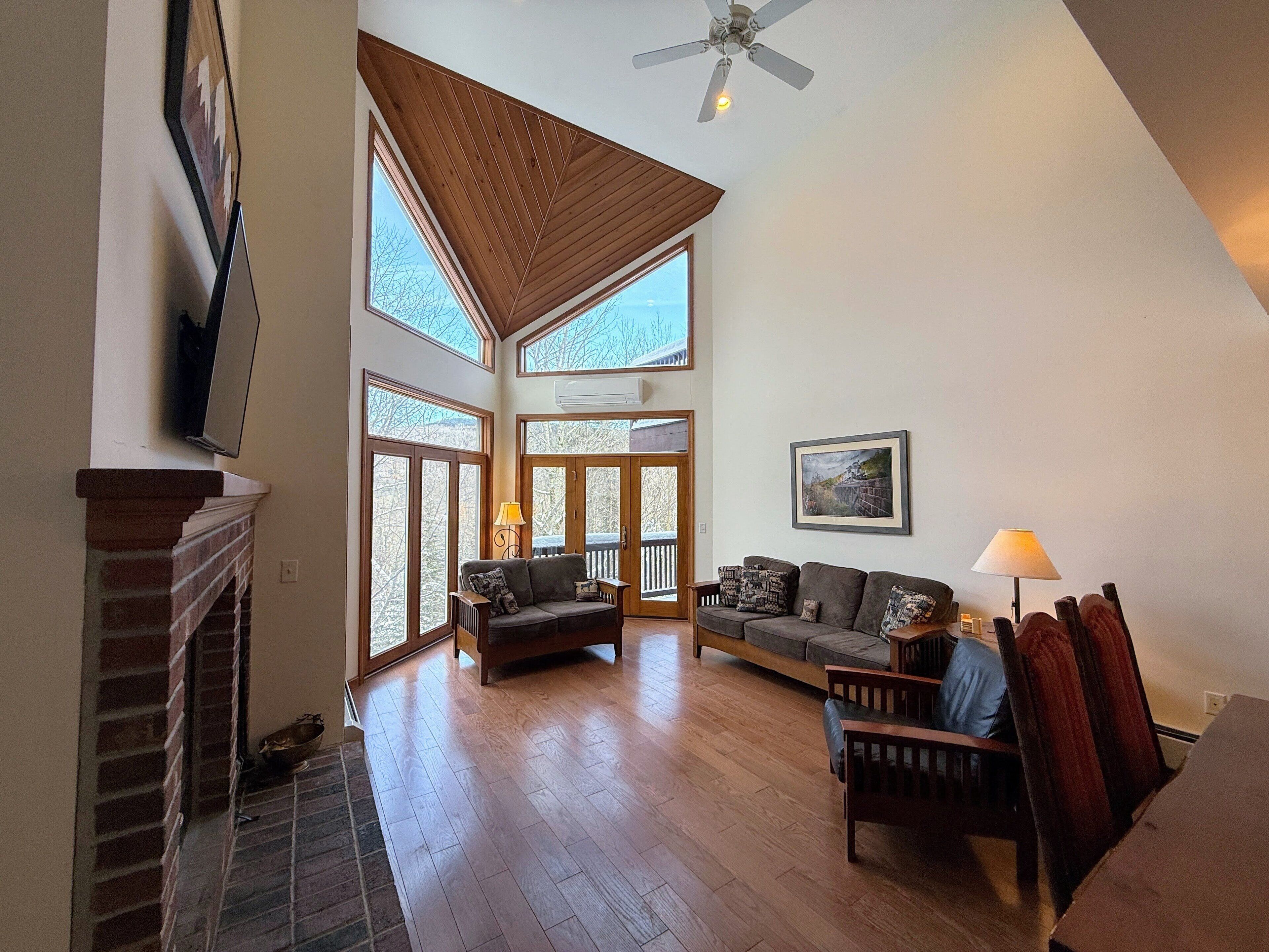 TV, fireplace, video game console